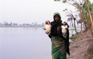 Duck Raring - Climate Change Adaptation