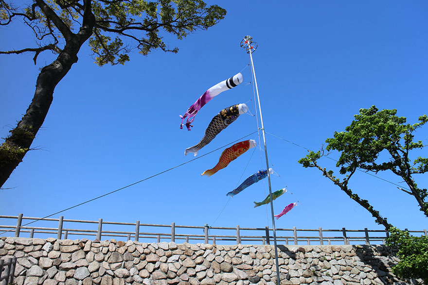 Koinobori Koinobori