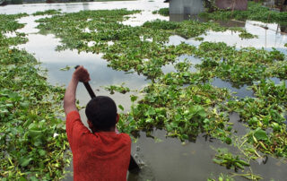 Water Logging in Bangladesh
