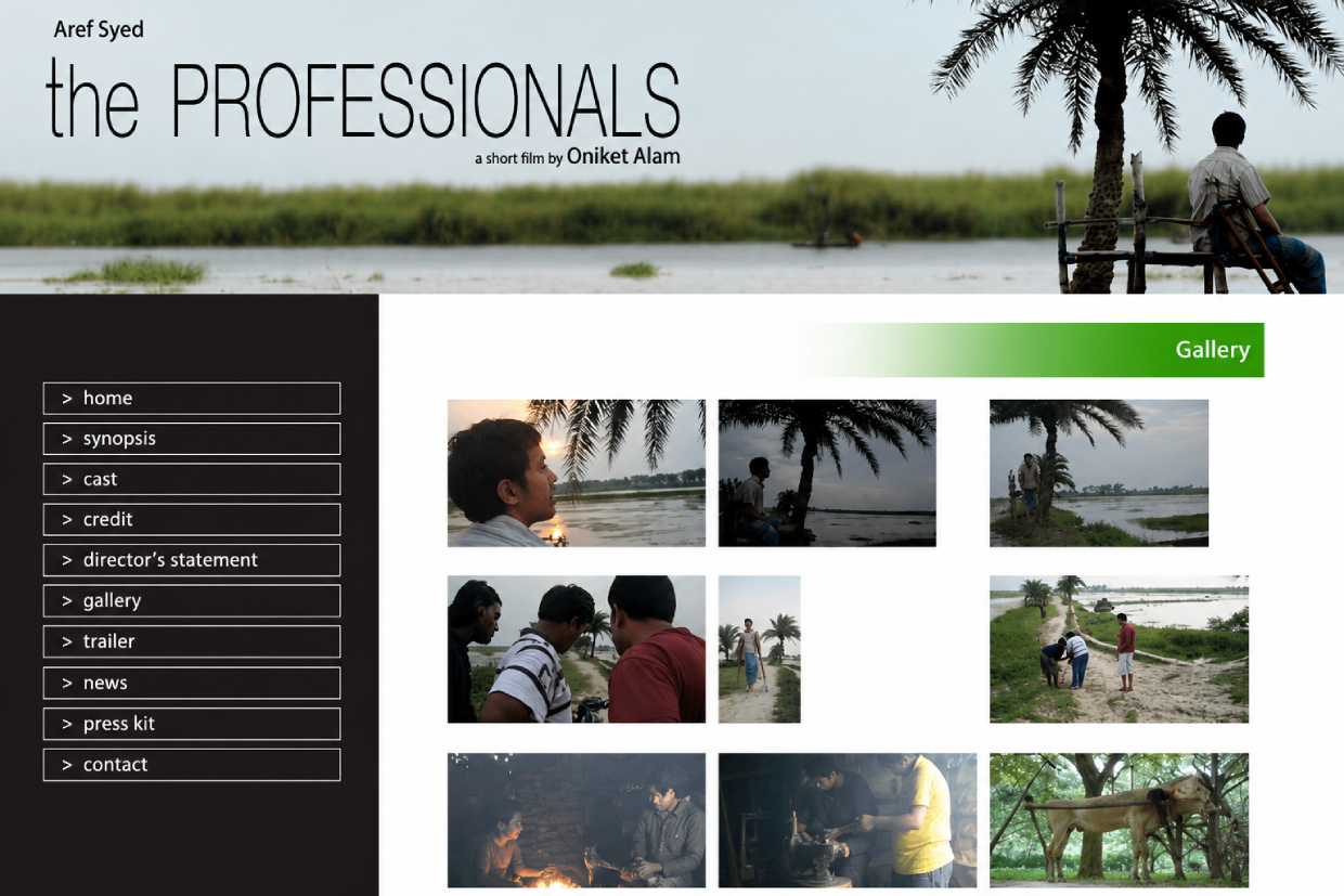 The Professional Short Film